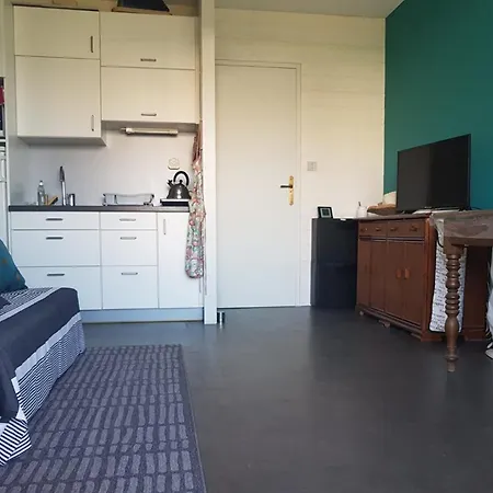 Studio Calme Proche Plage Avec Climatisation, Le Lavandou - Fr-1-803-54 Apartament Le Lavandou