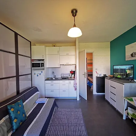 Studio Calme Proche Plage Avec Climatisation, Le Lavandou - Fr-1-803-54